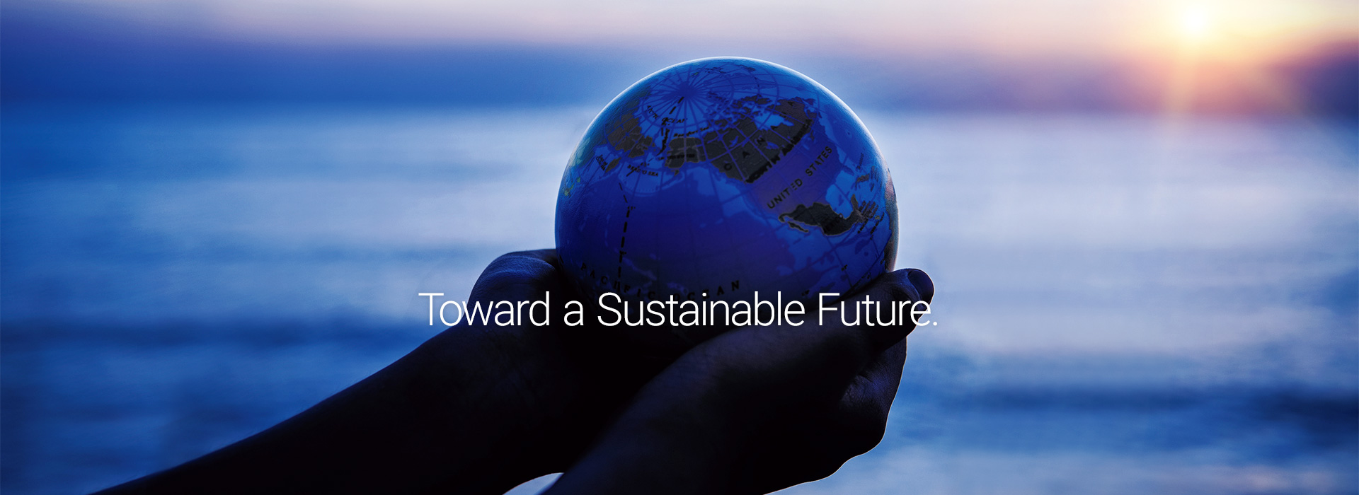 Toward a Sustainable Future.