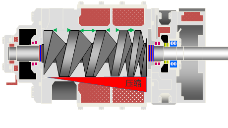 ecoVP转子 图像