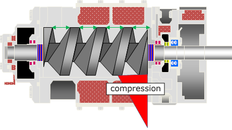 Equally-pitched screw image